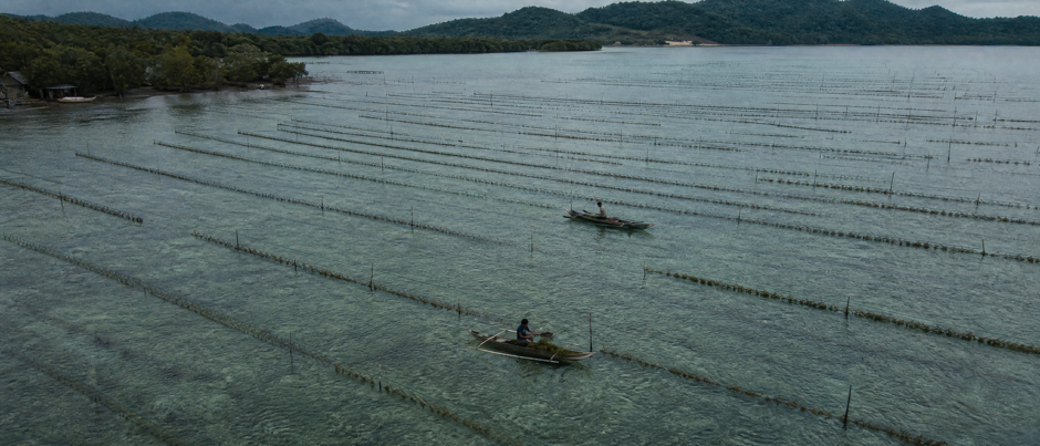 Field operations and agronomy programme verification